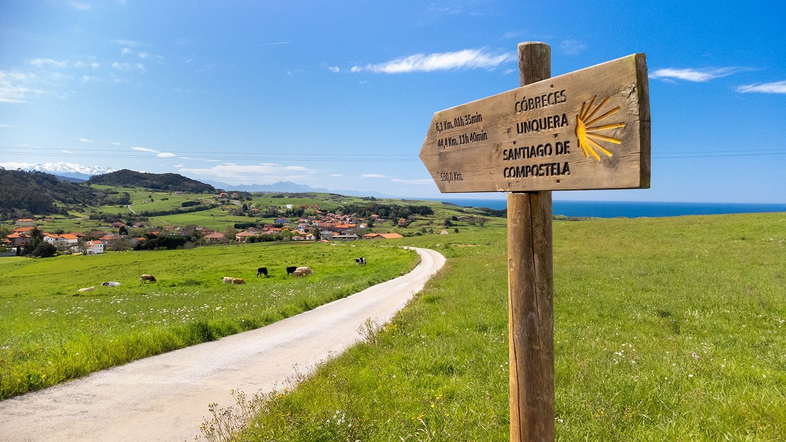 Life Lessons from the Camino De Santiago